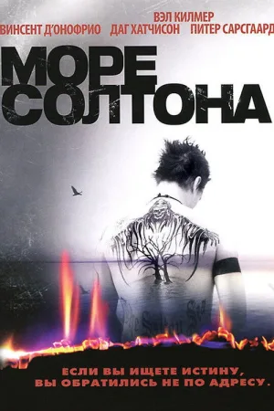 Море Солтона — постер