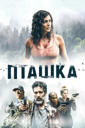 Пташка — постер