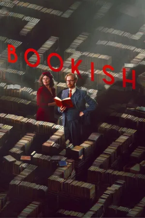 Книжный — постер