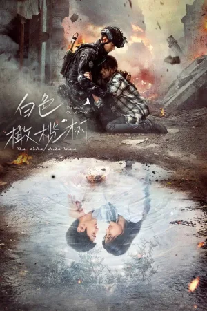 白色橄榄树 — постер