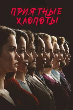 Приятные хлопоты — постер