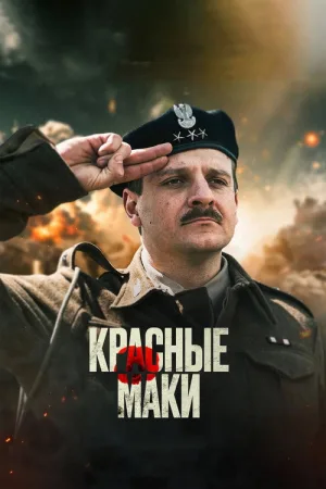 Красные маки — постер