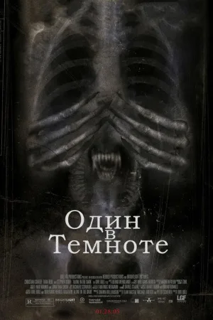 Один в темноте — постер