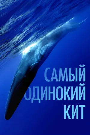 Самый одинокий кит — постер