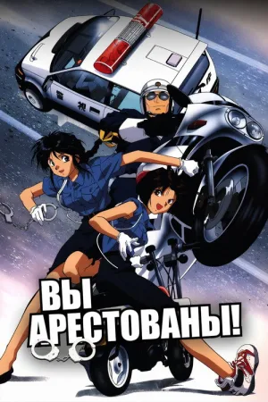Вы арестованы! — постер
