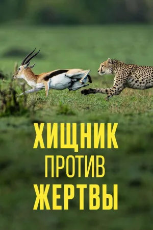 Хищник против жертвы — постер