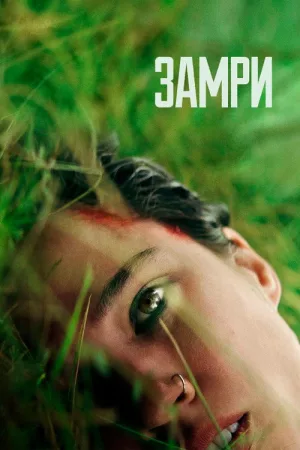 Замри — постер