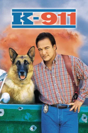К-911 — постер