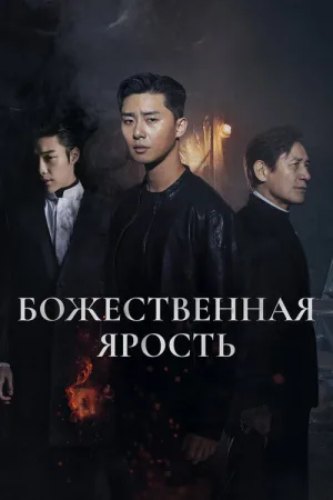 Божественная ярость — постер