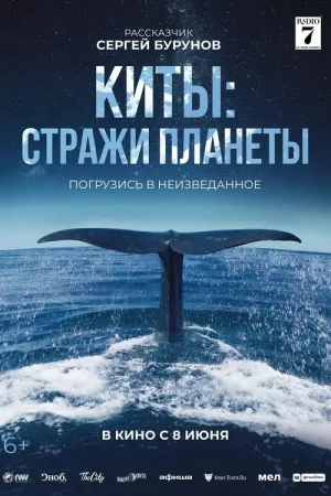 Киты: Стражи планеты — постер