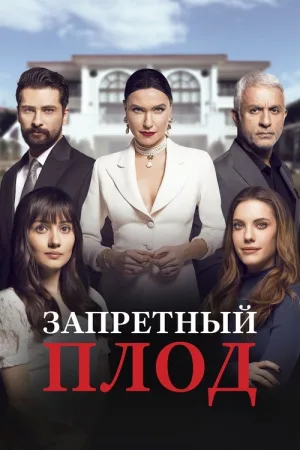 Запретный плод — постер