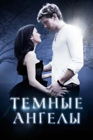 Темные ангелы — постер