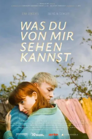 Was du von mir sehen kannst — постер