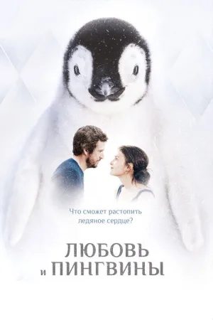 Любовь и пингвины — постер