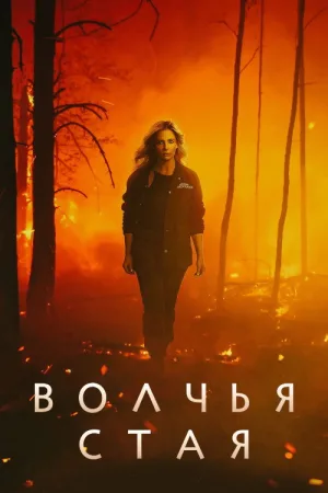 Волчья стая — постер