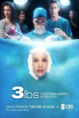 3 lbs — постер