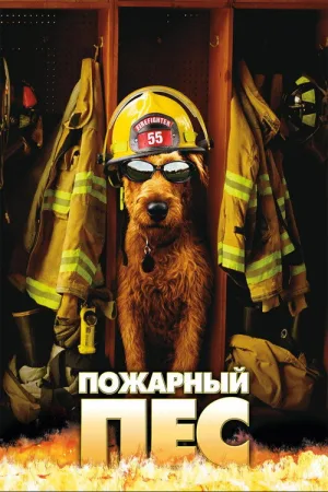 Пожарный пёс — постер