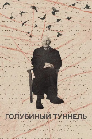 Голубиный туннель — постер
