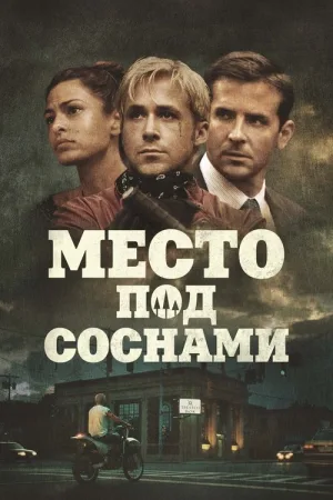 Место под соснами — постер