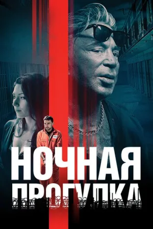 Ночная прогулка — постер