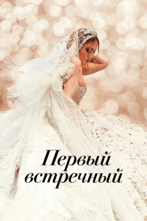 Первый встречный — постер