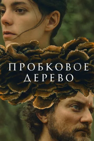 Пробковое дерево — постер