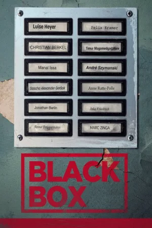 Black Box: Wem kannst du vertrauen? — постер