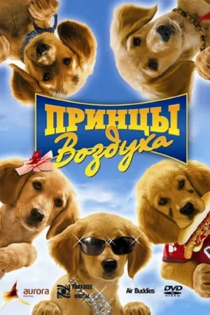 Принцы воздуха — постер