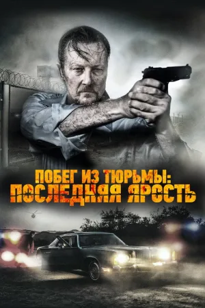 Побег из тюрьмы: Последняя ярость — постер
