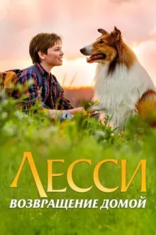 Лесси. Возвращение домой — постер