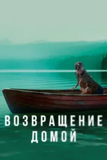 Возвращение домой — постер
