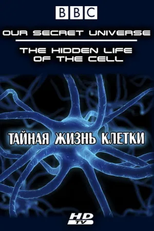 Внутренняя вселенная: Тайная жизнь клетки — постер