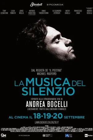 La musica del silenzio — постер