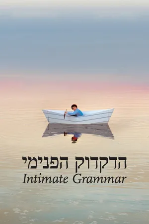 הדקדוק הפנימי — постер