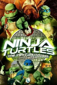 Ninja Turtles: The Next Mutation — постер
