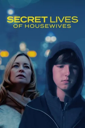 Secret Lives Of Housewives — постер
