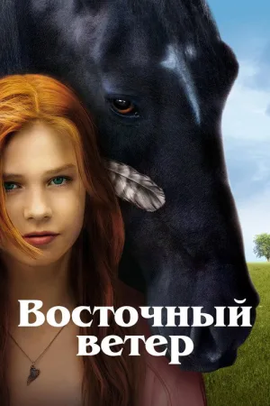 Восточный ветер — постер