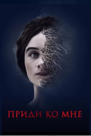 Приди ко мне — постер