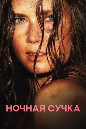 Ночная сучка — постер