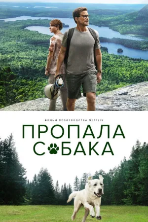 Пропала собака — постер
