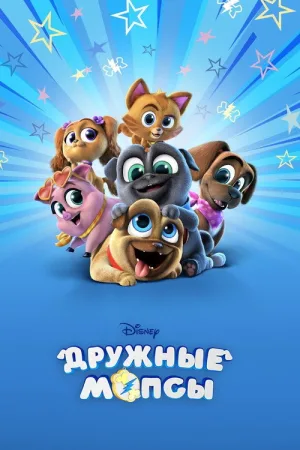 Дружные мопсы — постер