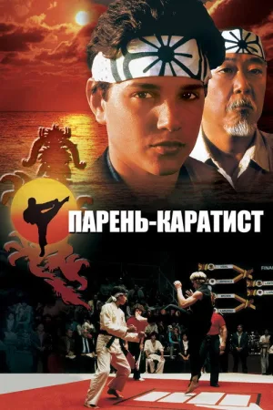 Парень-каратист — постер