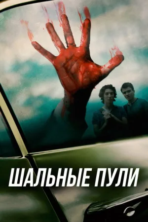 Шальные пули — постер