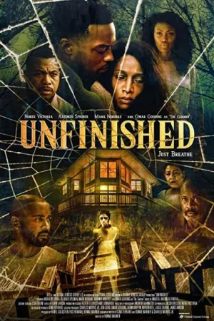 Unfinished — постер