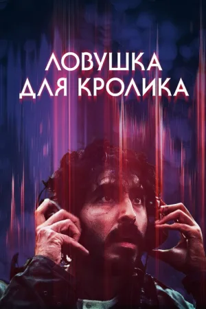 Ловушка для кролика — постер