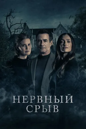 Нервный срыв — постер