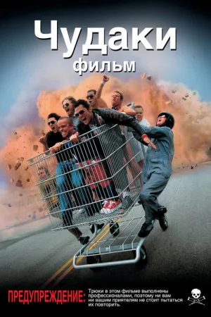 Чудаки — постер