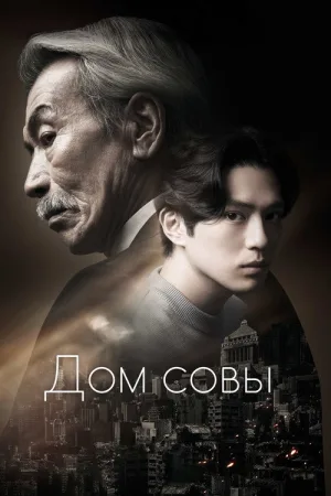 Дом совы — постер