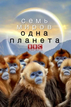 Семь миров, одна планета — постер