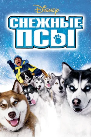 Снежные псы — постер